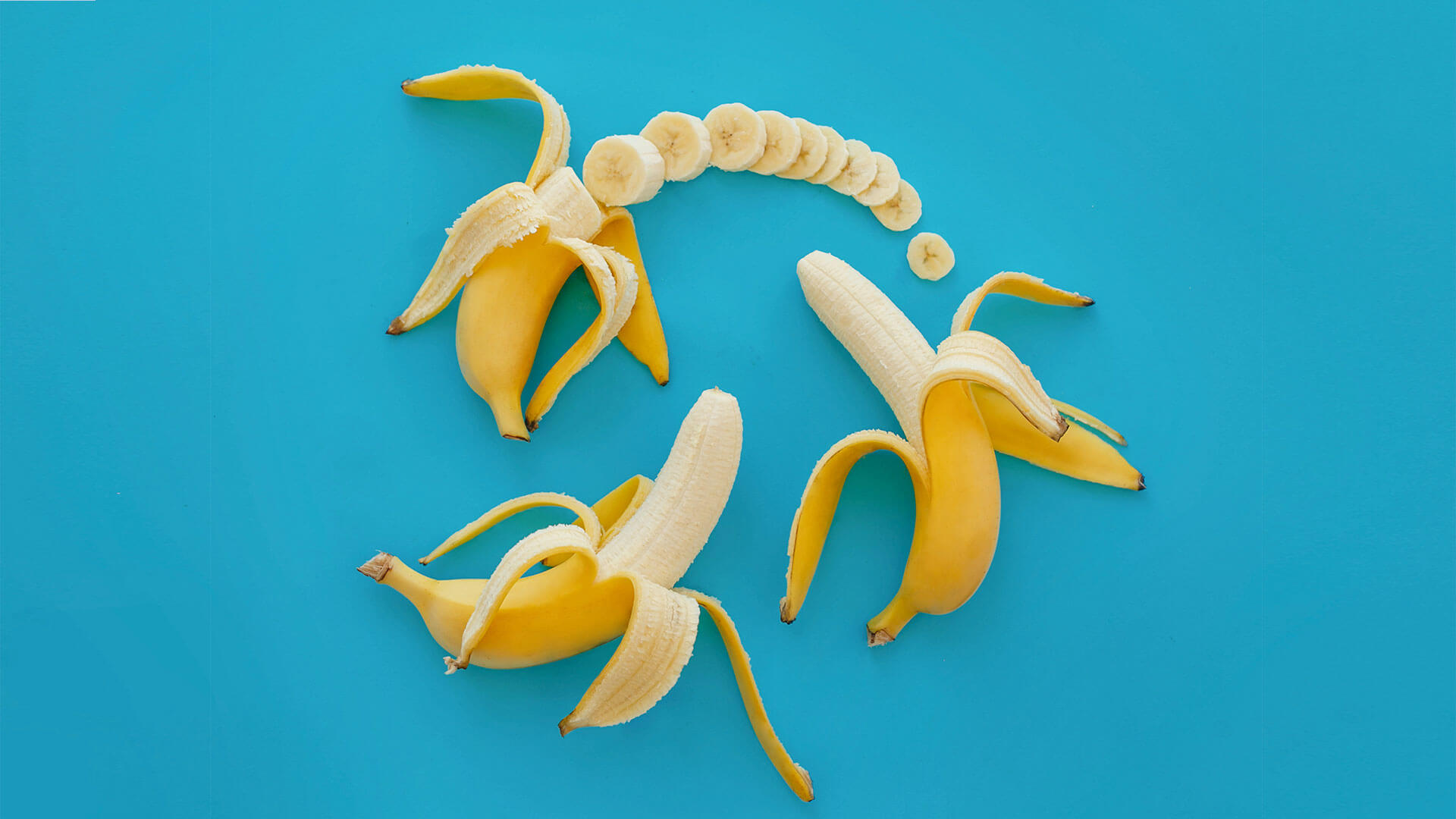 s1102204487 s1102204487